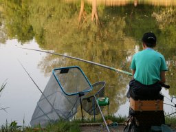 Competities HSV Alfheim